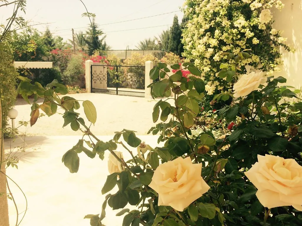 Bed & Breakfast Dar Khereddine Tunis
